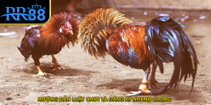 Hướng dẫn luật chơi và đăng ký nhanh chóng