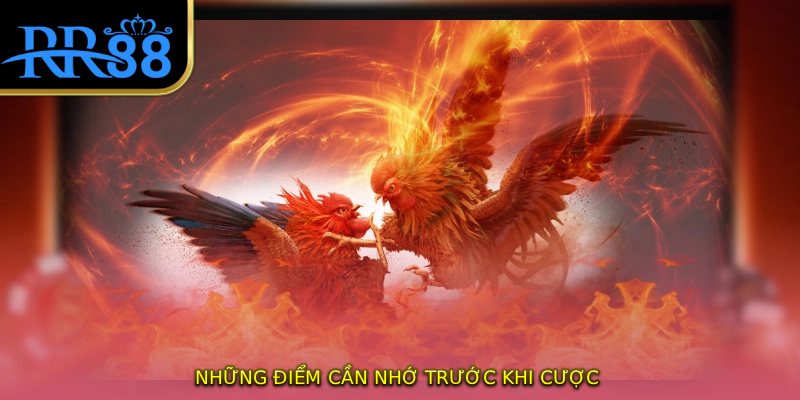 Những điểm cần nhớ trước khi cược