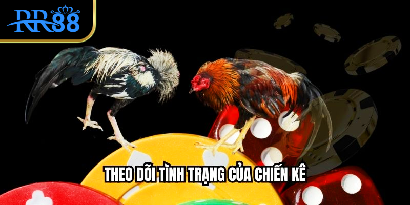 Theo dõi tình trạng của chiến kê